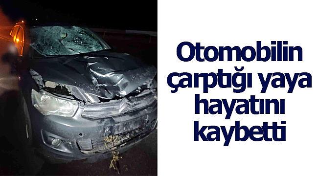 Otomobilin çarptığı yaya hayatını kaybetti