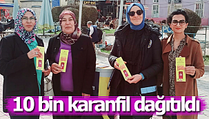 10 bin karanfil dağıttılar