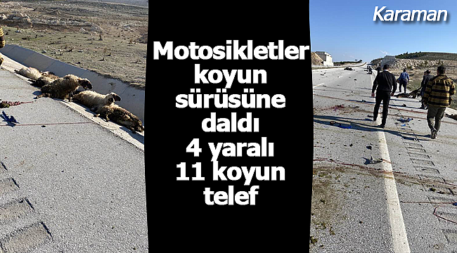 Motosikletler koyun sürüsüne daldı 4 yaralı