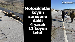 Motosikletler koyun sürüsüne daldı 4 yaralı