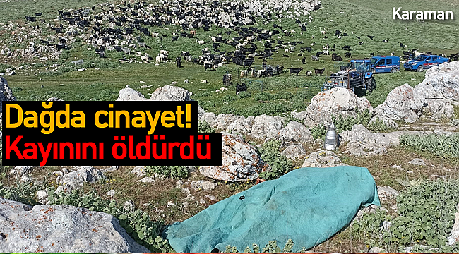 Dağda cinayet kayınını öldürdü