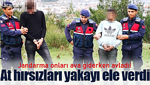 Karaman'da at hırsızları yakayı ele verdi