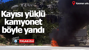 Kayısı yüklü kamyonet böyle yandı