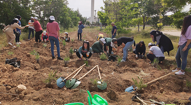 Tarım engel tanımaz projesi sona erdi