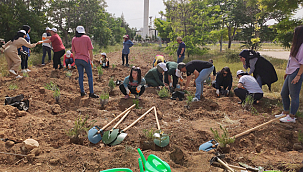 Tarım engel tanımaz projesi sona erdi