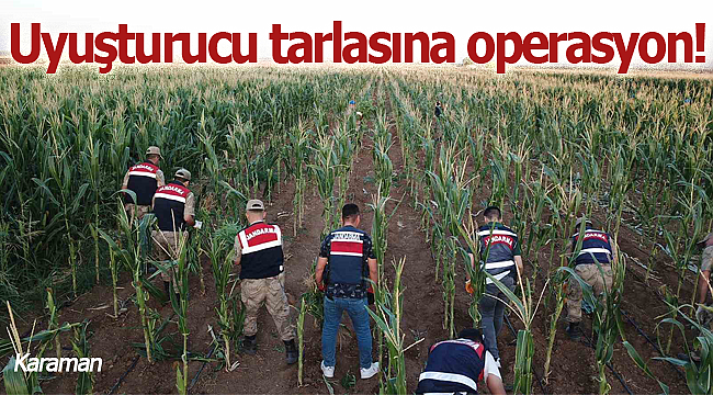 Karaman'da uyuşturucu tarlasına operasyon