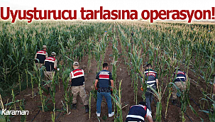 Karaman'da uyuşturucu tarlasına operasyon