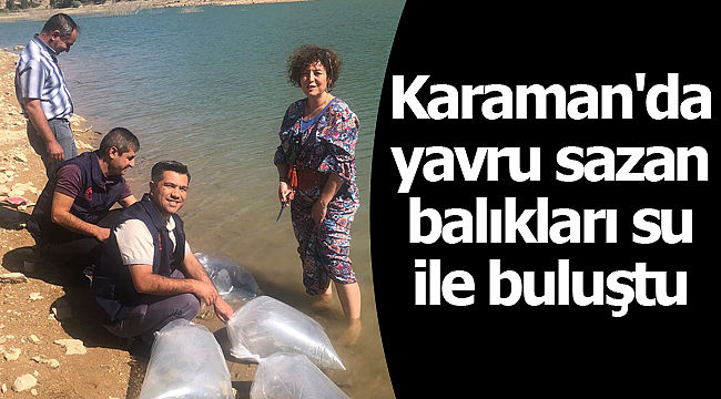 Karaman'da yavru sazan balıkları su ile buluştu