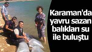 Karaman'da yavru sazan balıkları su ile buluştu