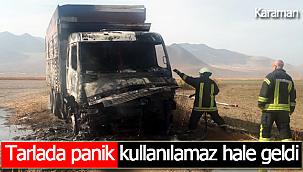 Tarlada panik kamyon alevlere teslim oldu
