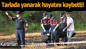Tarlada yanarak hayatını kaybetti