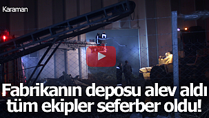 Pelet fabrikasında yangın
