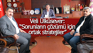 Veli Ülküsever: ''Sorunların çözümü için ortak stratejiler''