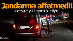 Jandarma affetmedi