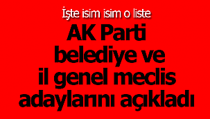 İşte isim isim AK Parti listesi