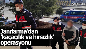 Jandarma'dan 'kaçaçılık ve hırsızlık' operasyonu