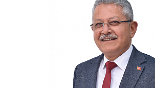 Sertçelik: "siyasi itibar, deprem felaketinin getirdiği acılardan daha çok önemsendi"