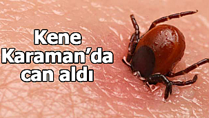 Karaman'da kene can aldı