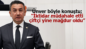 Ünver; "İktidar müdahale etti, çiftçi mağdur oldu"