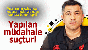Acil servisteki müdahaleye veterinerlerden tepki